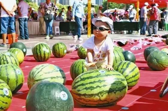 吃瓜网每日大赛最新入口,揭秘最新入口，精彩赛事不容错过！